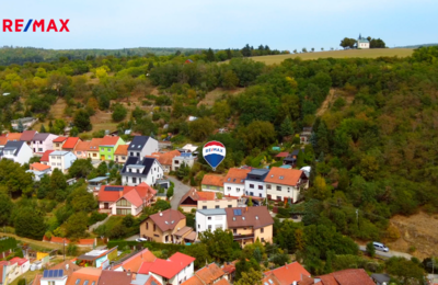 REMAX Delux