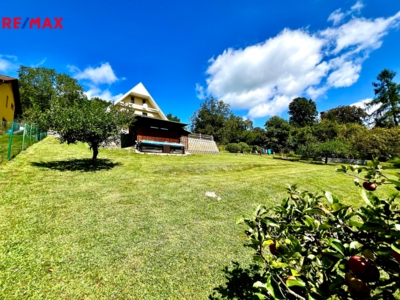 2964472.jpg 2964472.jpg