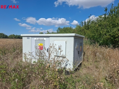 Tomáš Šimek Tomáš Šimek