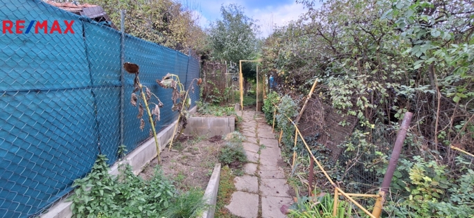 3035460.jpg 3035460.jpg