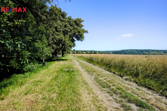 Prodej pozemku pro bydlení, 1156 m2, Viničné Šumice - obrázek 9