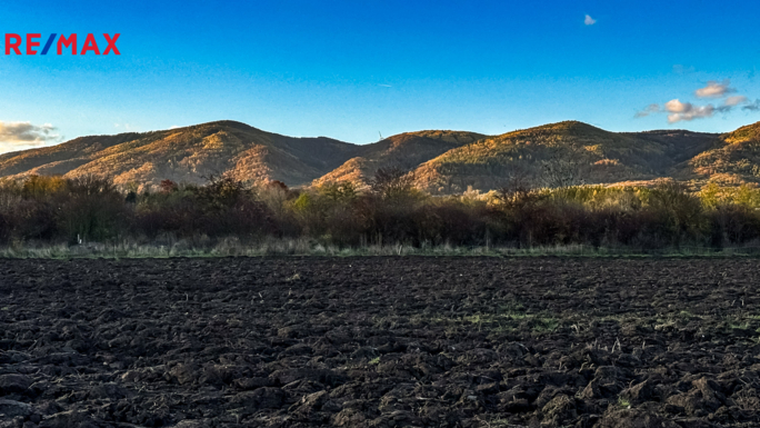 REMAX Delux REMAX Delux