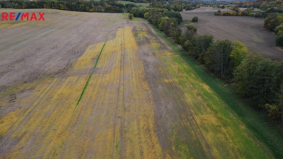 Realitní makléř Brno