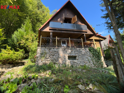 Borač