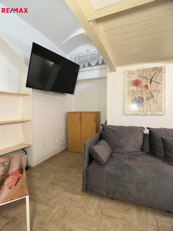 Prodej bytu 1+1, 25 m2, Praha - obrázek 5