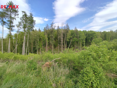 Realitní makléř Brno Realitní makléř Brno