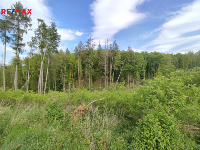 Realitní makléř Brno Realitní makléř Brno