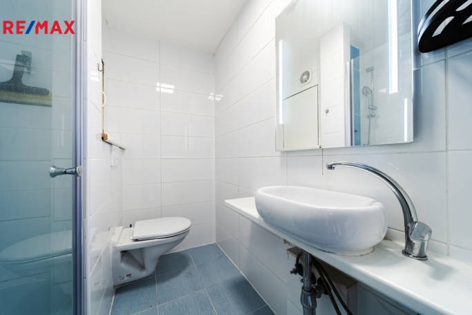 Prodej bytu 1+kk, 31 m2, Brno - obrázek 9