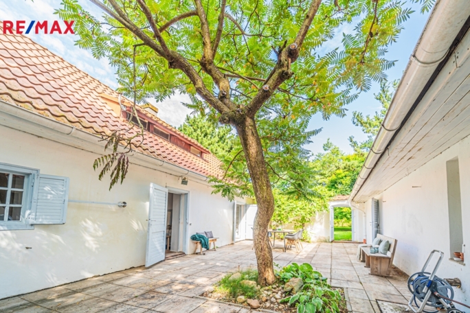 2952293.jpg 2952293.jpg