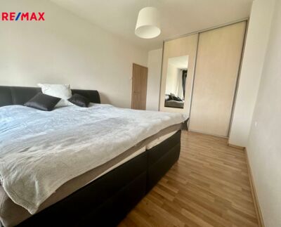 3113378.jpeg 3113378.jpeg