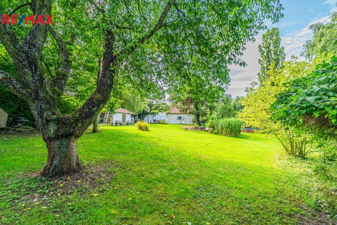 REMAX Brno REMAX Brno