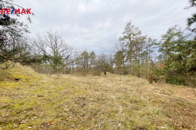 Zvíkovské Podhradí Zvíkovské Podhradí