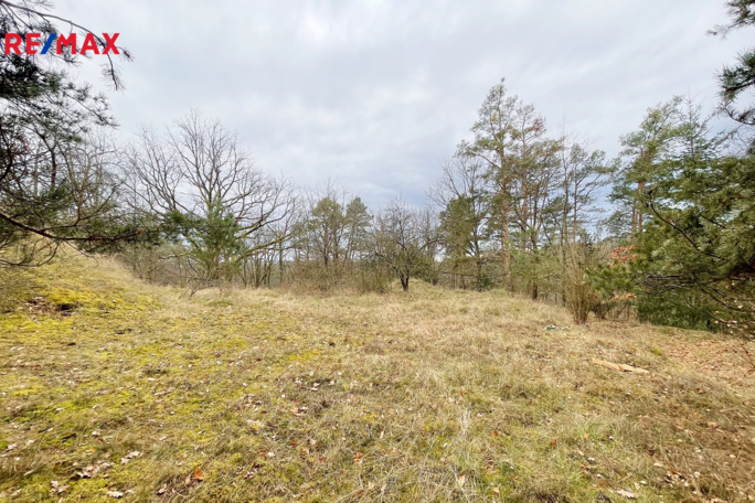 Zvíkovské Podhradí Zvíkovské Podhradí