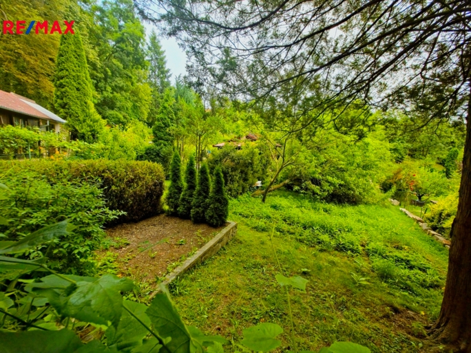 2933539.jpg 2933539.jpg