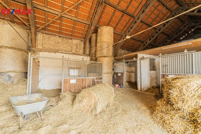 3032852.jpg 3032852.jpg