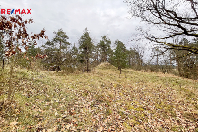 2635585.jpg 2635585.jpg