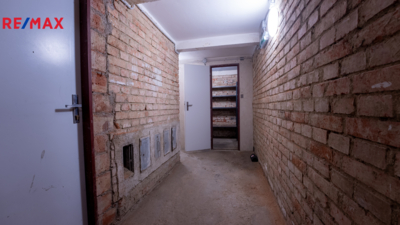 3005677.jpg