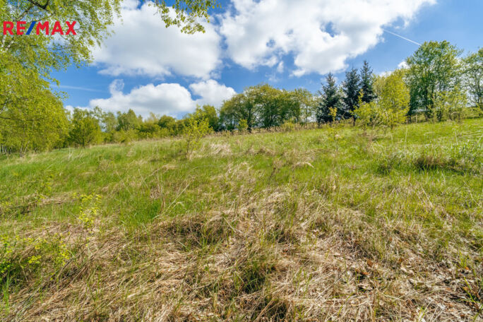 Prodej pozemku pro komerční výstavbu, 28310 m2, Střítež - obrázek 13