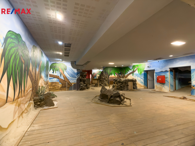 Pronájem obchodního prostoru, 850 m2, Rousínov - obrázek 17