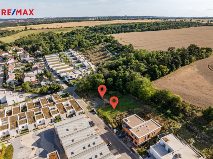 2951393.jpg 2951393.jpg