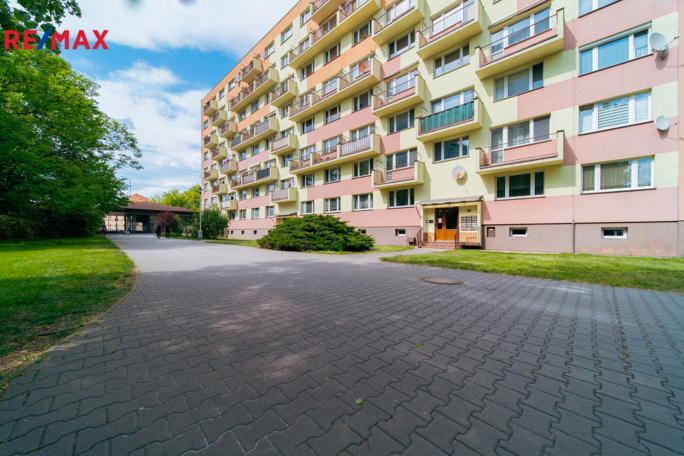 REMAX Delux