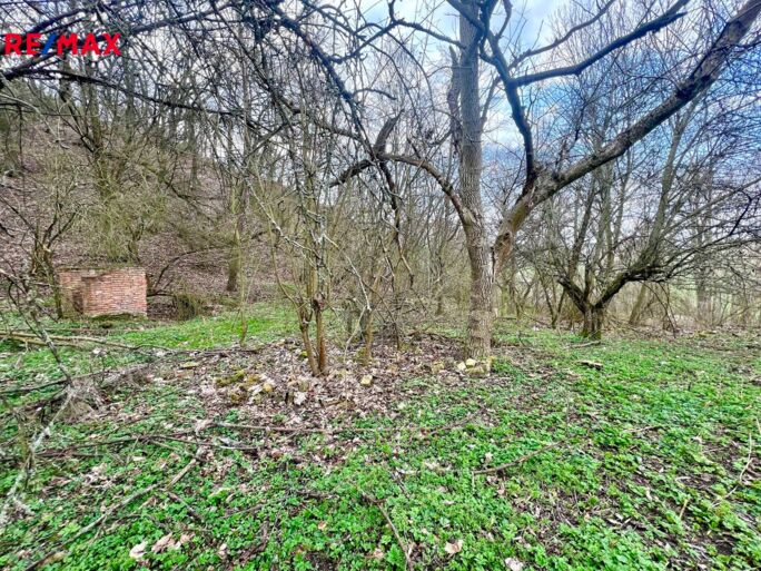 Realitní makléř Brno