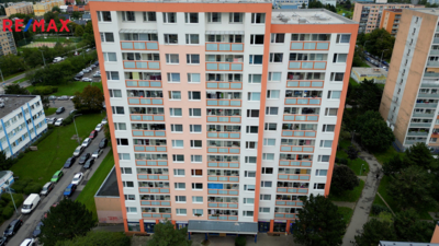 3026939.jpg