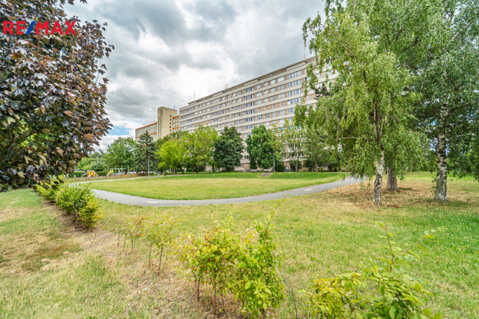 2931730.jpg 2931730.jpg