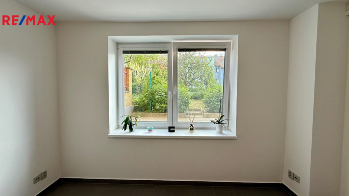 REMAX Delux