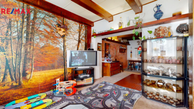 REMAX Delux