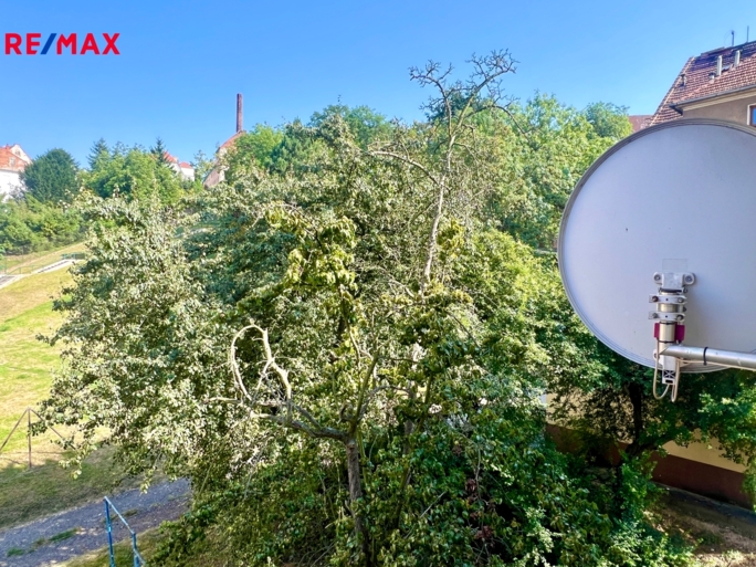 2984891.jpeg 2984891.jpeg