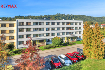 3033795.jpg 3033795.jpg