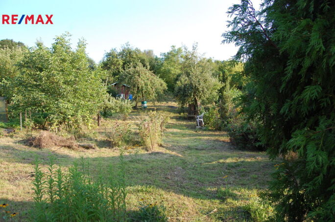 REMAX Brno REMAX Brno