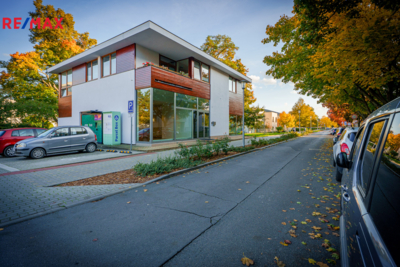 3050381.jpg 3050381.jpg