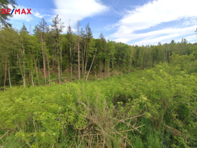 Rrealitka Brno Rrealitka Brno