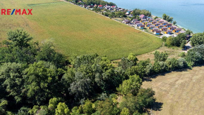 Prodej pozemku pro bydlení, 12306 m2, Šakvice - obrázek 6