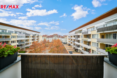 3102485.jpg 3102485.jpg