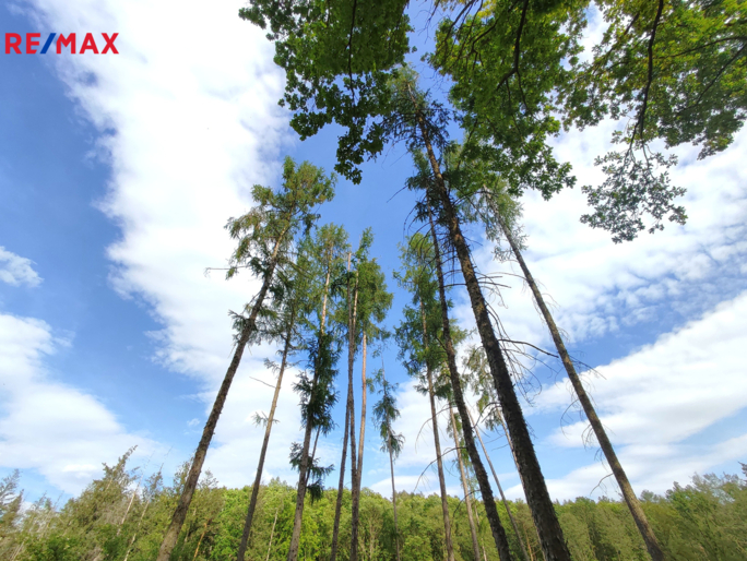 Prodej nemovitostí Brno Prodej nemovitostí Brno