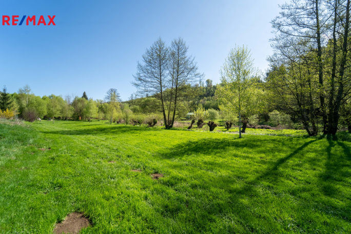 2787230.jpg 2787230.jpg