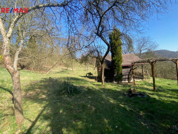 2732610.jpg 2732610.jpg