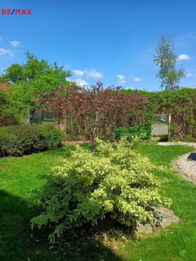 REMAX Brno REMAX Brno