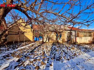 3142288.jpg 3142288.jpg