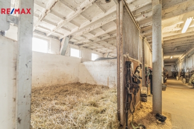 3032847.jpg 3032847.jpg