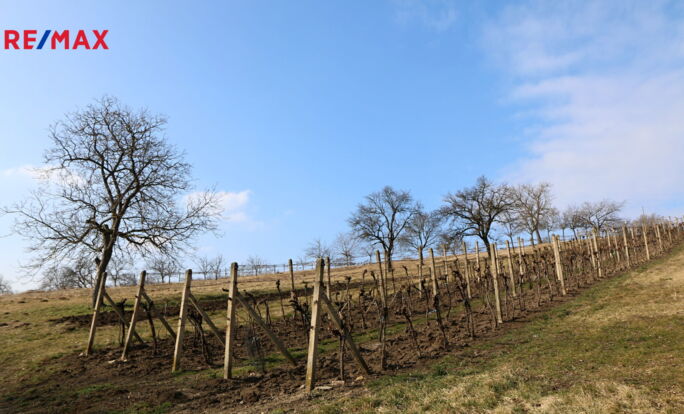 Prodej sadu/vinice, 1955 m2, Karlín Prodej sadu/vinice, 1955 m2, Karlín