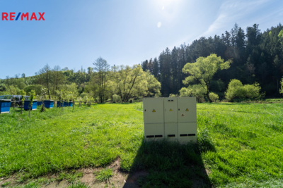 2787238.jpg 2787238.jpg