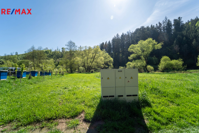 2787238.jpg 2787238.jpg