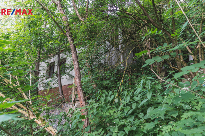 2830744.jpg 2830744.jpg