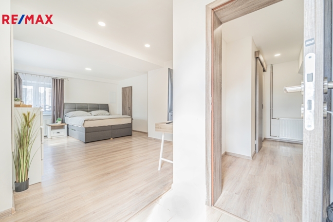 REMAX Delux REMAX Delux