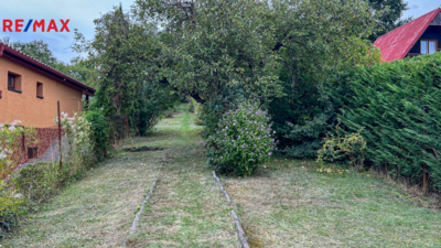 2961351.jpg