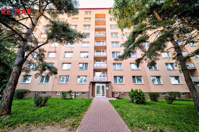 Prodej bytu 1+1, 44 m2, Veselí nad Moravou - obrázek 1